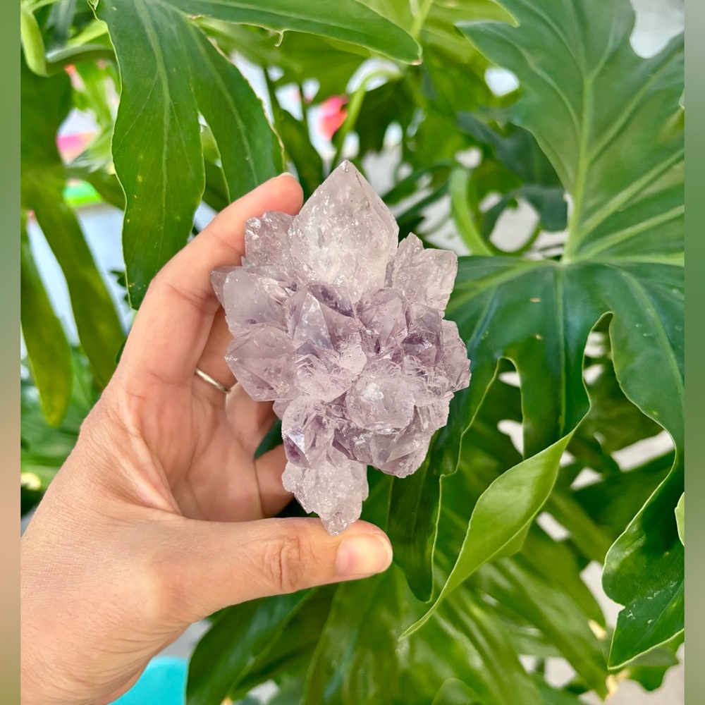 Amethyst Cluster